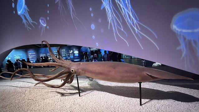 Zhongguo Haiyang Yuye Museum