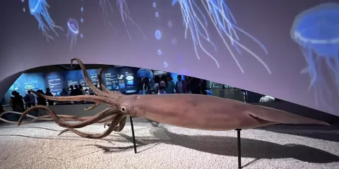 中國海洋漁業博物館