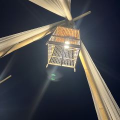 Dara Serene User Photo