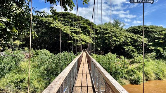 Menehune ditch