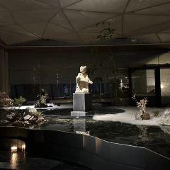 THE SYNC LOUNGE User Photo