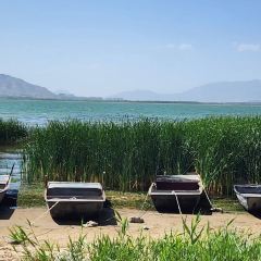 清水湾观湖鱼馆 User Photo