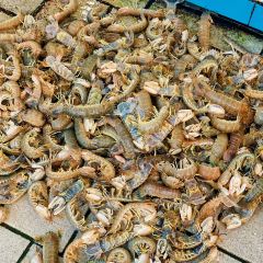 秋姐美食店(11年老字号保利店) User Photo