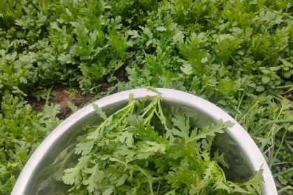 珍硒源·农家特色山庄