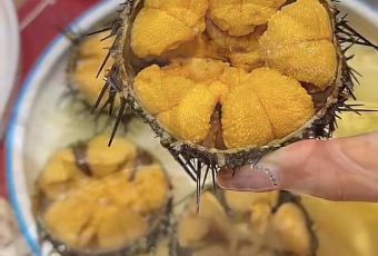 Nan Shan Xiao Yu Cun User Photo