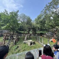 評論圖片 9