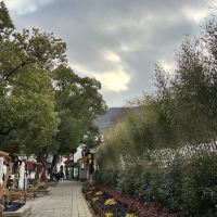 評論圖片 6