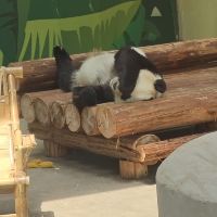 評論圖片 9