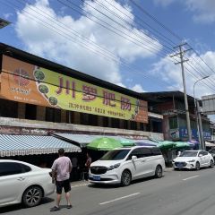 川羅肥腸張用戶圖片