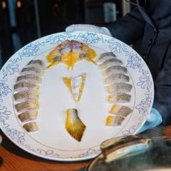 Champion Tower User Photo