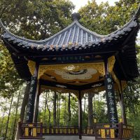評論圖片 4