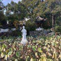 評論圖片 4