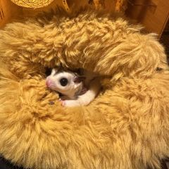 YAMA TSUKI User Photo