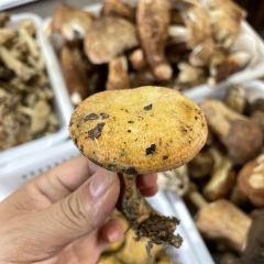 88 Snack 여행 사진