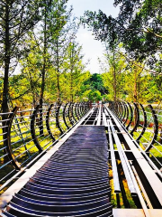 Neijiang Nature Garden