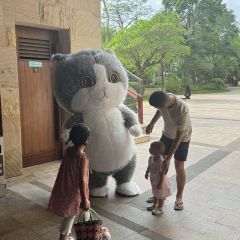 Intercontinental Sanya Haitang Bay Resort  Cove Restaurant User Photo