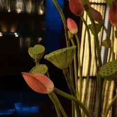 上海璞丽酒店·LONG BAR长吧 User Photo