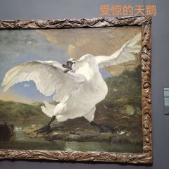 Rijksmuseum User Photo