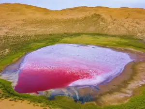 Dagetu