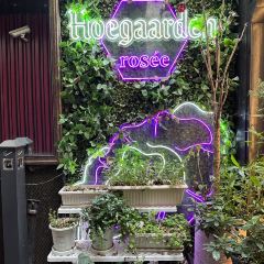 上海The Drama酒店·Le Pump樂汸西餐厅&酒馆 User Photo