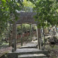 評論圖片 5