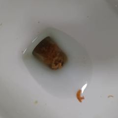 九月椒海鲜自选火锅超市(刘家峡店) User Photo