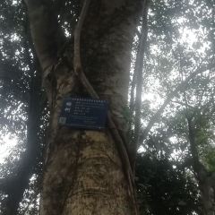 沈茗檀茶道馆 여행 사진
