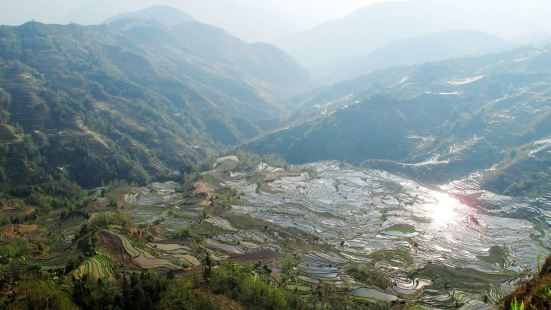 老虎嘴梯田是元阳山势最恢弘险峻的梯田，这里的梯田分布于深谷间