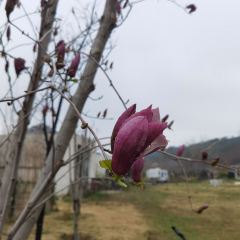 云台山溪山山居美学园·隐山肴·山农美学餐厅 User Photo