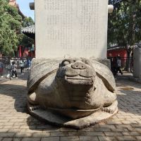 評論圖片 5
