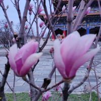 評論圖片 5