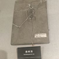 評論圖片 8