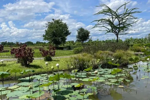 Baan Satian Elephant Park