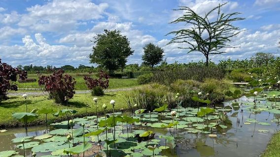 Baan Satian Elephant Park