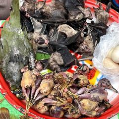 Luang Prabang morning market User Photo