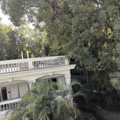 鼓浪屿鼓疗度假酒店(菽庄花园观海园沙滩店)·鼓浪厅 User Photo