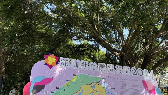 莲花山公园是深圳市中心福田区最大规模的公园，有大草地、中心广