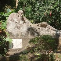 評論圖片 7