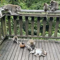 評論圖片 4