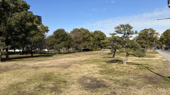 去大阪城天守阁肯定会经过大阪城公园，路过的游客很多，有很高的