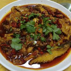 聚鲜阁水库鱼川菜坊 User Photo