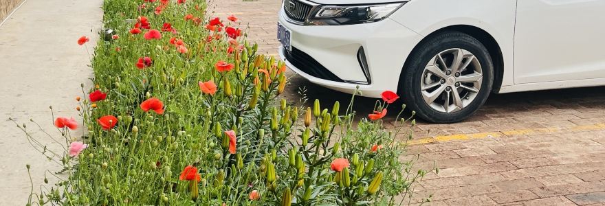 二十二度客栈深夜食堂