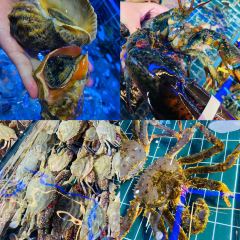 小螺号·蒸汽海鲜连锁餐厅(第三海水浴场店) User Photo