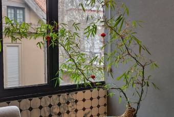 Easeful Cuisine (Jingan) user photo