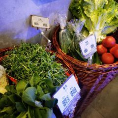 Ala Mingzao Yuehu Branch User Photo