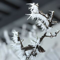 崇义八号秘境新客家轻奢民宿·秘境私厨 User Photo