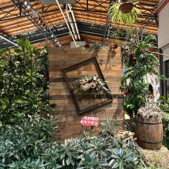 南岸时光 User Photo