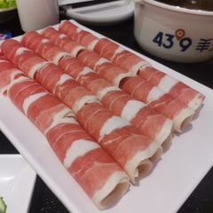 蒙都43°9羊火鍋(橋北店)張用戶圖片