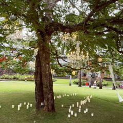 Pavilion User Photo