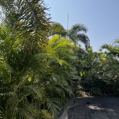 SILVERY BURNER User Photo